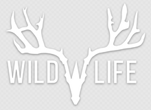 Load image into Gallery viewer, Wild Life Decal
